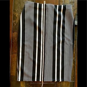 Striped Pencil Skirt